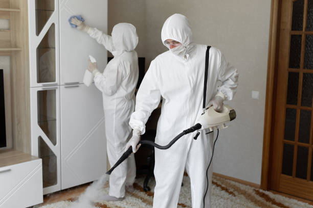 Why You Should Choose Our Mold Remediation Services in Colfax, WA